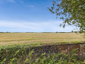 Open Field Views- click for photo gallery